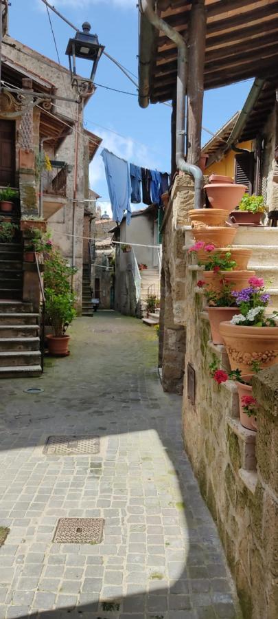 La Chascona Di Farnese Casa Di Tufo Nel Borgo公寓 外观 照片