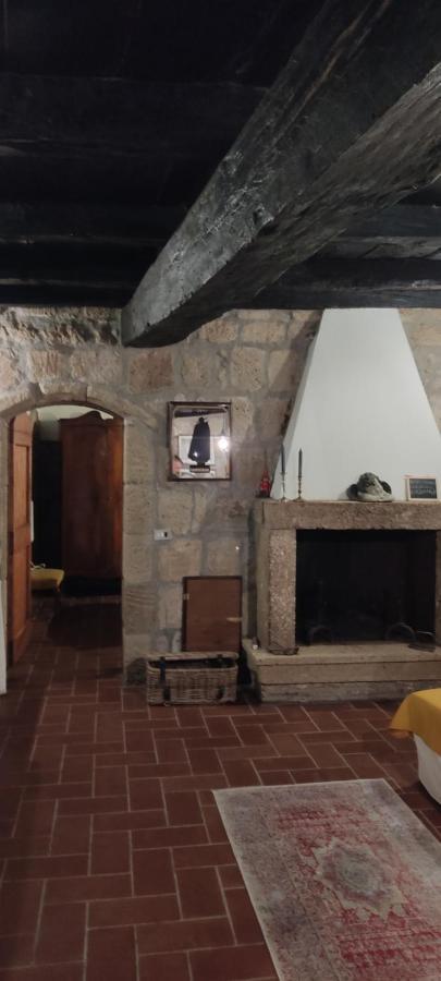 La Chascona Di Farnese Casa Di Tufo Nel Borgo公寓 外观 照片