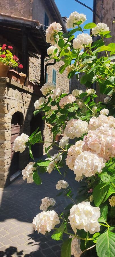 La Chascona Di Farnese Casa Di Tufo Nel Borgo公寓 外观 照片